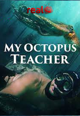 My Octopus Teacher